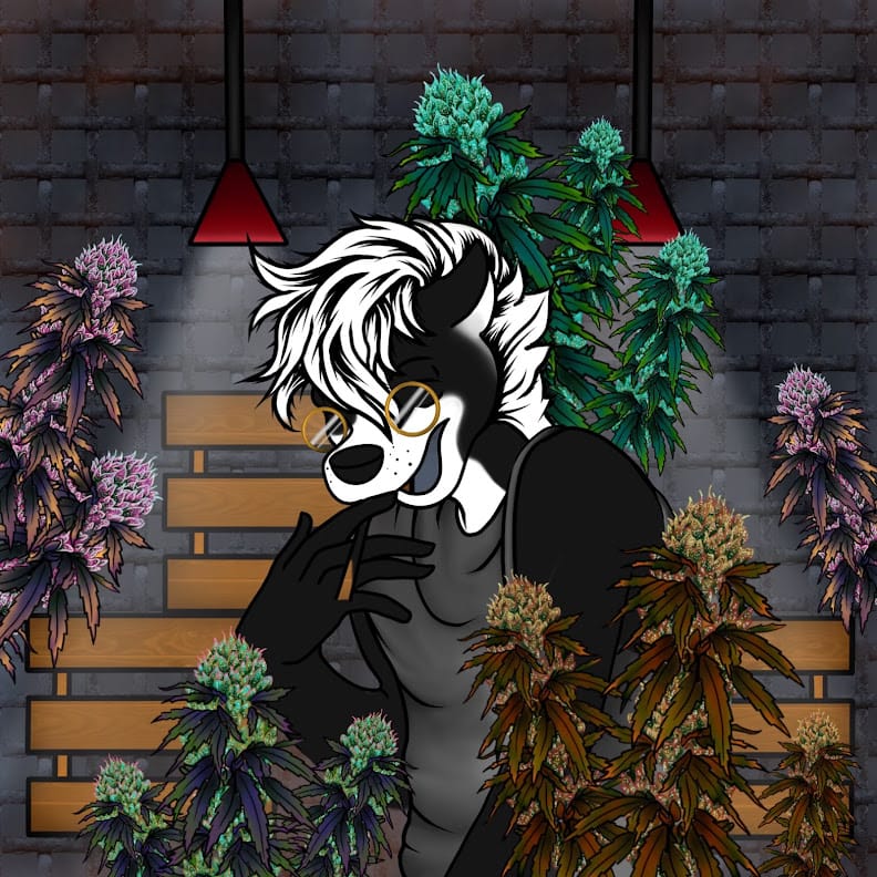 Grow Guide